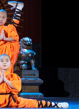 SHAOLIN KUNG FU 25. Years - Prestavljeno v 2024