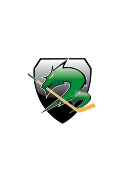 HK SŽ OLIMPIJA - HYDRO FEHERVAR AV19, ICE HL