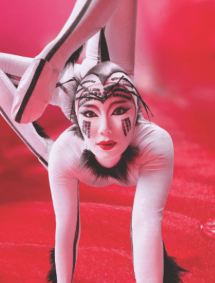 Cirque Du Soleil OVO