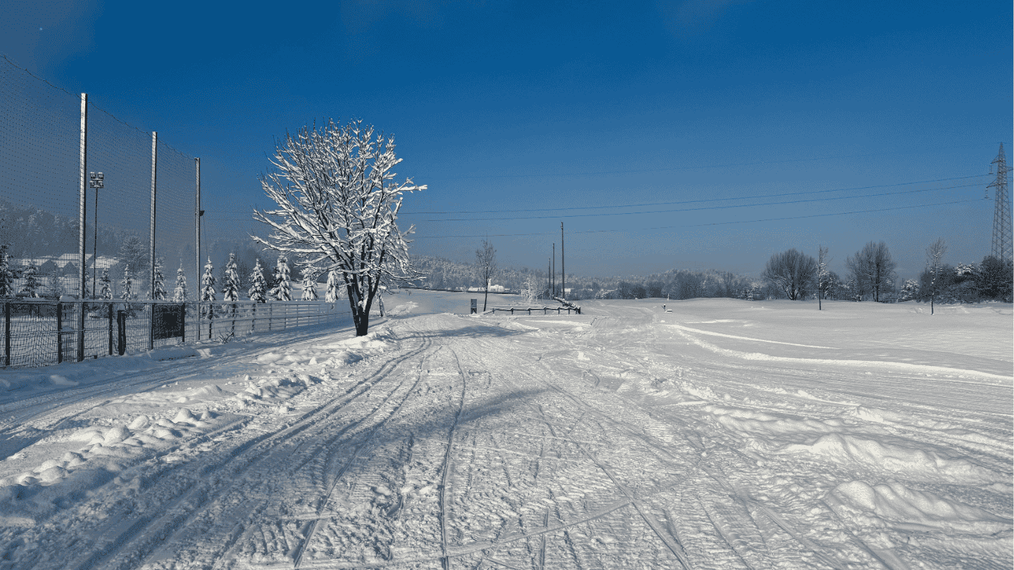 Tek na smučeh Stanežiče